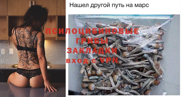 не бодяженный Белокуриха